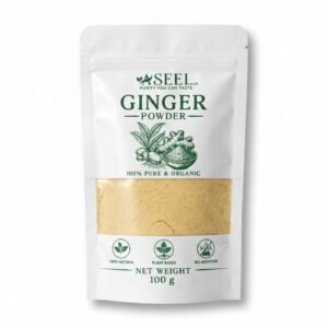 ASEEL Ginger Powder 100g pack – 100% pure, natural, and plant-based